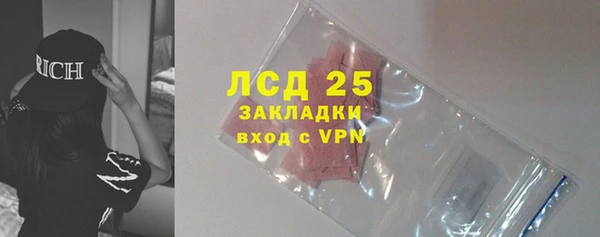 ПСИЛОЦИБИНОВЫЕ ГРИБЫ Алексин