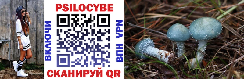 Купить где  Реж  Псилоцибиновые грибы мухоморы 